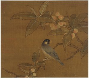 Moineau de Java sur une branche de baies