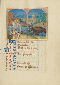 Page du calendrier de juin ; Tonte ; Cancer - Unknown artist