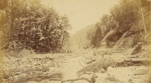 [Paysage avec une rivière, peut-être en Amérique du Sud]