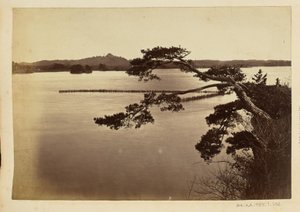 [Paysage avec lac et arbres] - Unknown artist
