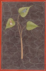 Markandeya voyant Krishna dans l