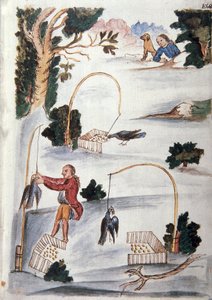 Méthode pour attraper les oiseaux au lasso, du livre "Trujillo del Peru" ou "Códice Martínez Compañón", par Baltazar Martinez Compañón y Bujanda, évêque de Trujillo (1782-1785)