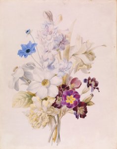 Narcisse et autres fleurs