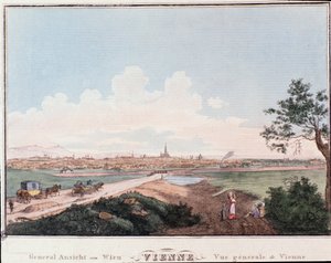 Vue d