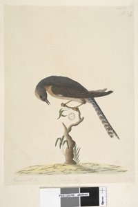 Page 45. Taille réelle. dans le coin supérieur droit dans une autre main A dans le coin inférieur gauche Va avec B c