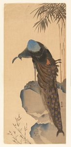 Paon - Unknown artist
