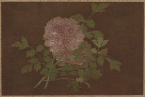 Pivoines
