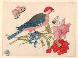 Oiseau rose, rouge, bleu et noir sur une branche avec des fleurs et des papillons - Unknown artist