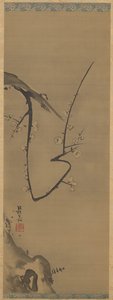Prunier - Unknown artist