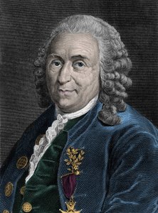 Portrait de Charles Linné (Carl von Linné, Linnéus 1707-1778), naturaliste suédois. Gravure du 19e siècle.