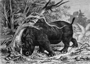 Préhistoire : dinosaure de la famille des périssodactyles, ancêtre du rhinocéros, déracinant un arbre. Gravure du 19ème siècle