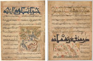 Qualités des pigeons ramiers (recto) ; Sur les bienfaits des cailles (verso), d