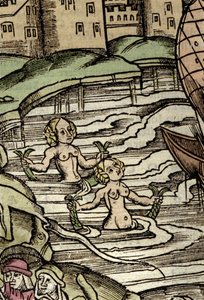Représentation de sirènes. Gravure du 16ème siècle - Unknown artist