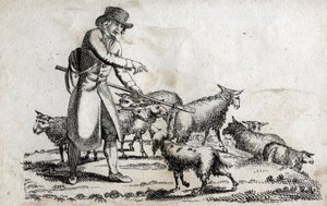 Berger avec son troupeau de moutons. Gravure fin XVIIIe siècle. Collection privée. - Unknown artist