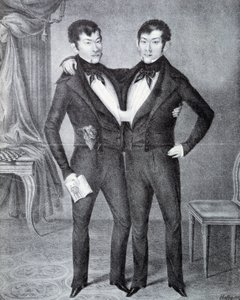 Siamois