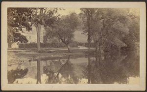 [Étang Silverspring] - Unknown artist