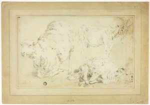 Esquisses de moutons et de chèvres