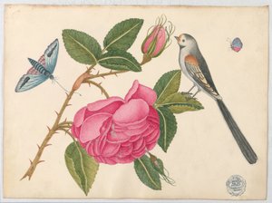 Petit oiseau noir et blanc sur feuille de rose avec fleurs et papillons