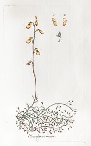  - Unknown artist