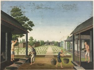 Filage du tissu, préparation des feuilles de thé, préparation de la soie