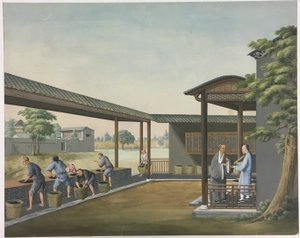 Filage du tissu, préparation des feuilles de thé, préparation de la soie