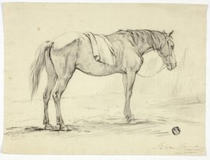 Cheval debout