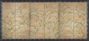 Herbe Susuki