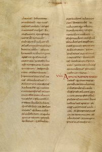 Text Page