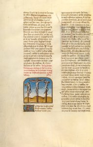 La crucifixion