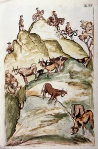 Les gardiens de vaches encerclant un groupe de vaches dans les montagnes pour les attraper, du livre "Trujillo del Peru" ou "Codex Martínez Compañón", par Baltazar Martinez Compañón y Bujanda, évêque de Trujillo (1782-1785)