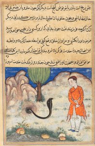 Le prince, fils du souverain de Sistan, entre au service d