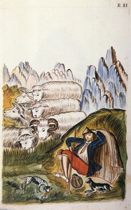 Le berger et son troupeau de moutons, du livre "Trujillo del Perú" ou "Codex Martínez Compañón", par Baltazar Martínez Compañón y Bujanda, évêque de Trujillo (1782-1785)