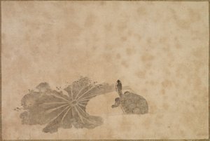 Tortue dans un étang de lotus