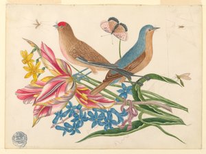 Deux oiseaux sur une branche de tulipes avec des insectes