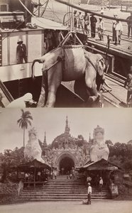 Sans titre : (éléphant chargé sur un bateau, recto) ; (marches et bâtiment, verso)