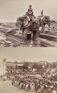 Sans titre : (éléphants déplaçant des blocs de bois, recto) ; (procession ou foule, verso)