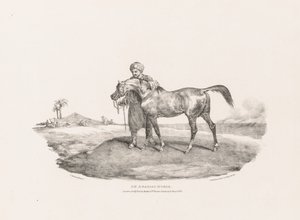 Divers sujets dessinés d