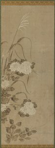 Chrysanthèmes blancs et herbes