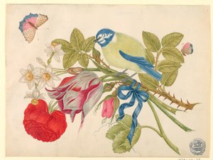 Oiseau jaune et bleu sur bouquet avec rose, tulipes et jonquilles, avec papillons - Unknown artist