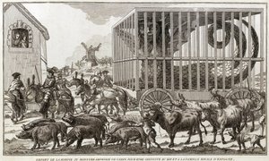 Zoomorphisme - Caricature contre Marie-Antoinette - Partie de la harpie ou monstre amphibie de Cadix pour être emmenée au roi et à la famille royale d