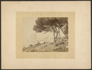 [Vue de l