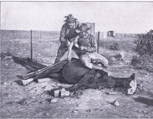 Une évasion étroite. Un éclaireur blessé qui a perdu son cheval, de Après Pretoria : La Guerre des guérillas publiée par Harmsworth Bros Limited