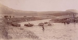 Canon traversant une rivière pendant la guerre des Boers - Unknown photographer