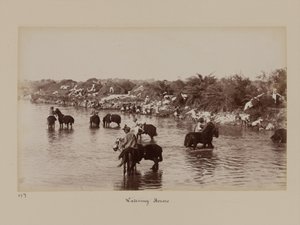 Cavaliers indiens abreuvant leurs chevaux pendant le camp d