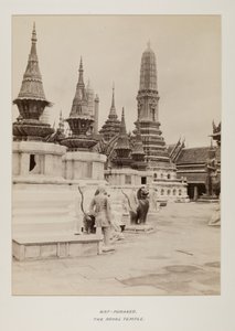 Photographie dans un album photo