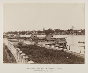 Photographie dans un album photo