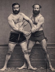 Portrait des frères Marseille en lutteur. Photographie, fin XIXe siècle, Paris. Coll. Selva.