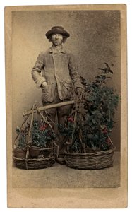 Costumes et masques vénitiens : un colporteur de plantes