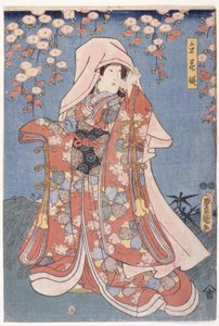 Dame avec une robe riche
