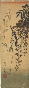 Oiseau sur une branche de glycine